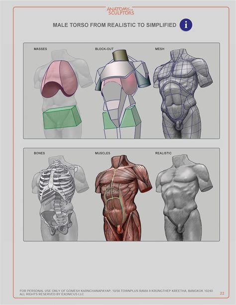 Anatomy For Sculptors Pdf