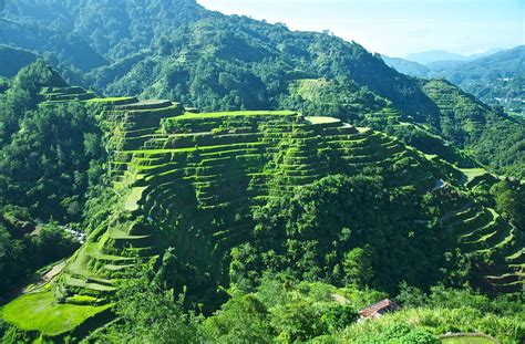 Pin on Banaue Rice Terraces