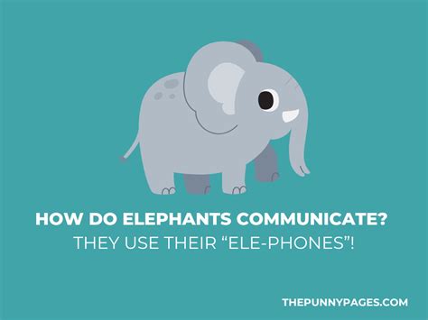 50 Funny Ant & Elephant Jokes & Puns