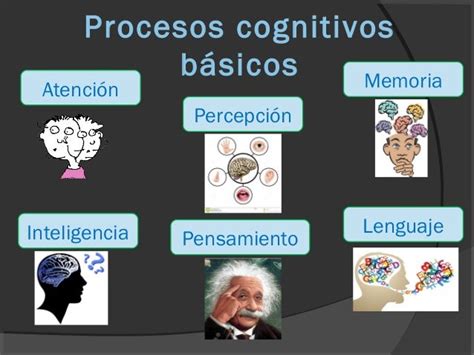 Procesos Cognitivos