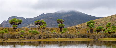 Mount Elgon National Park - Adventure Consults Ltd