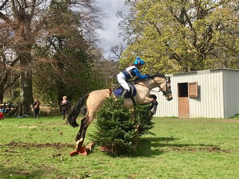 Horse_jumping_training_lesson | Horse Riding Lessons Trekking and ...