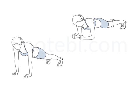 Up Down Plank | Illustrated Exercise Guide