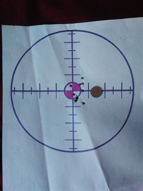 Bolt action accuracy? | Ruger Forum