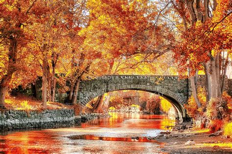 Autumn Bridge And Trees Wallpapers - Wallpaper Cave