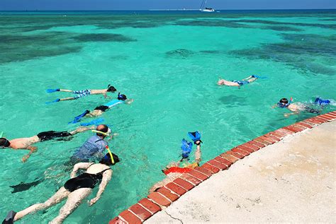 Snorkeling Dry Tortugas National Park - Best Near Key West