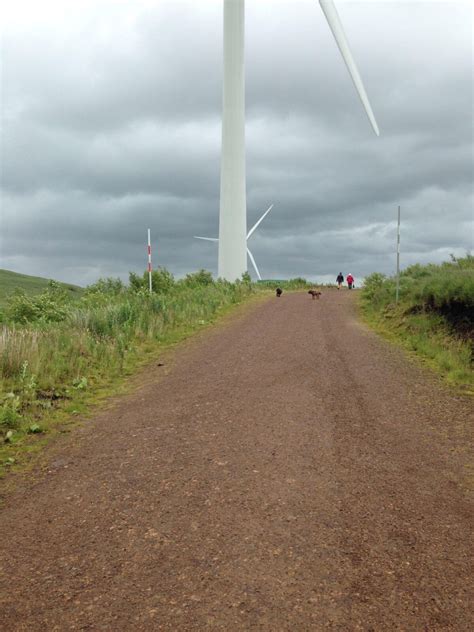 Dog walk at Whitelee Wind Farm · Renfrewshire · Walkiees