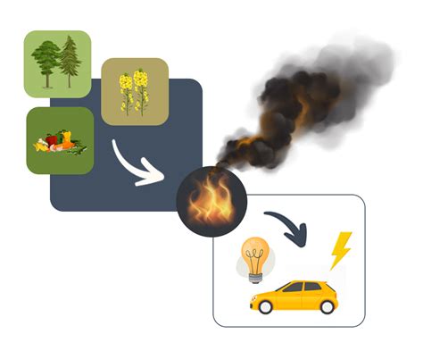 What is bioenergy – EU Bioenergy