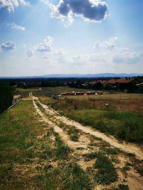 Country road in the countryside. Rural landscape with dirt road and ...