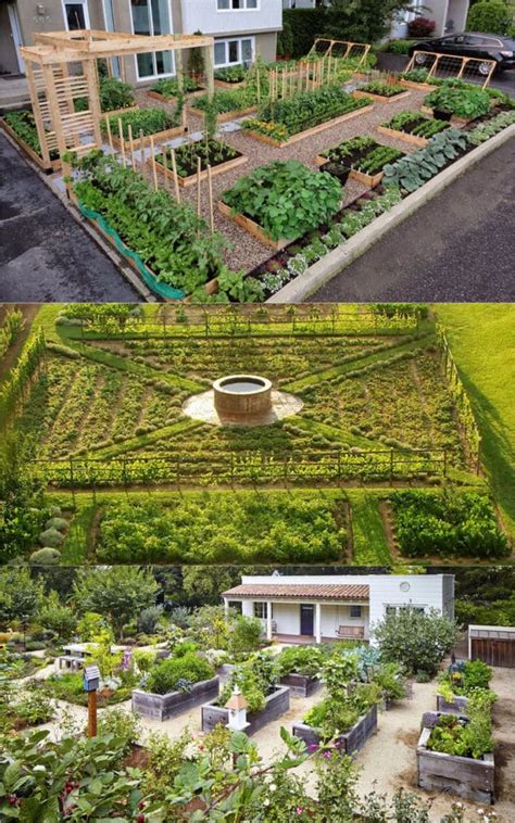 Vegetable Garden Layout: 7 Best Design Secrets - A Piece Of Rainbow