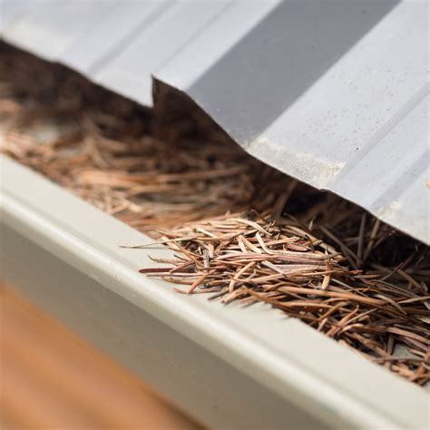 What Makes Seamless Gutters Seamless?