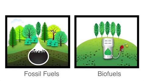 3 Types of Biofuels: Advantages and Disadvantages | Linquip