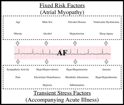 Pathophysiological Factors implicated in Atrial Fibrillation Occurring ...