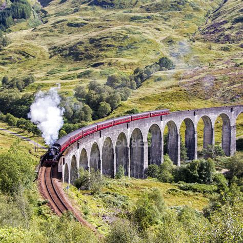 Jacobite steam train — sunlight, travelling - Stock Photo | #124540296