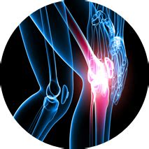 Knee cartilage regeneration | Ortho Biologic Surgery India