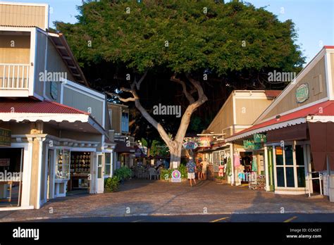 Lahaina, Maui, Hawaii Stock Photo - Alamy