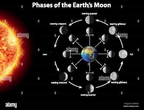 Diagram showing phases of the earth moon illustration Stock Vector ...