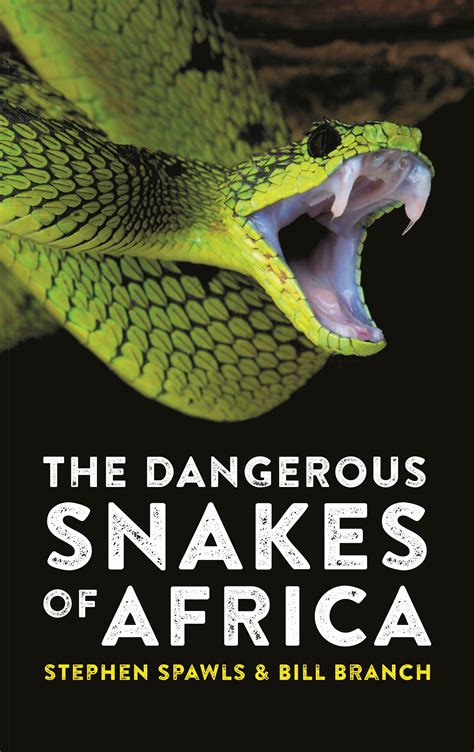 The Dangerous Snakes of Africa | Princeton University Press