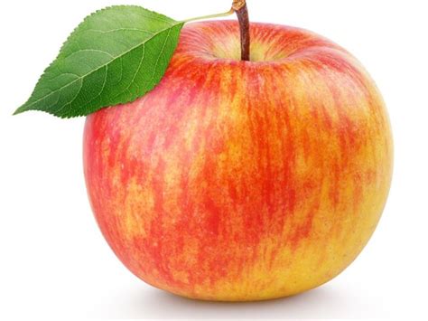 Tips & Information about Apples - Gardening Know How