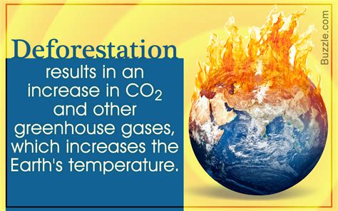 Deforestation: A Cause of Global Warming That Goes Unnoticed - Help ...