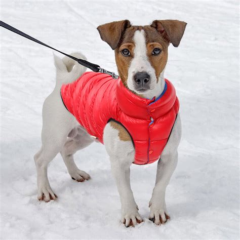 Dog Coats for Large Dogs Winter with Harness Hole Pet Clothes Puffer ...