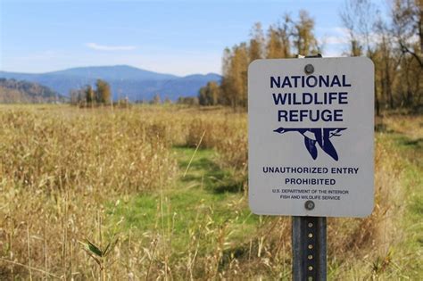 steigerwald-lake-national-wildlife-refuge-sign-jpg - ClarkCountyToday.com