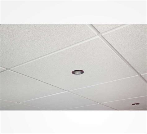 Vinyl Ceiling Tiles | CAAPS