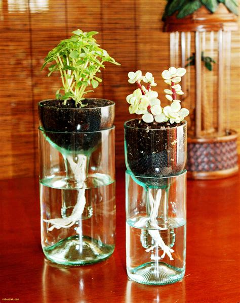 24 Fashionable Cheap Tall Clear Vases 2024