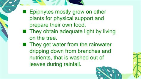 SOLUTION: Adaptations in epiphytes - Studypool