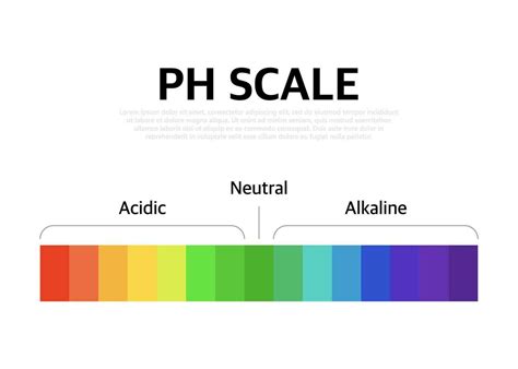 The Ph scale universal Indicator ph Color Chart diagram. Vector ...