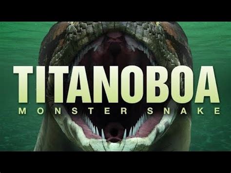 Titanoboa: Monster Snake - Titanoboa cerrejonensis - YouTube