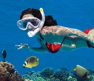 Dry Tortugas Snorkeling