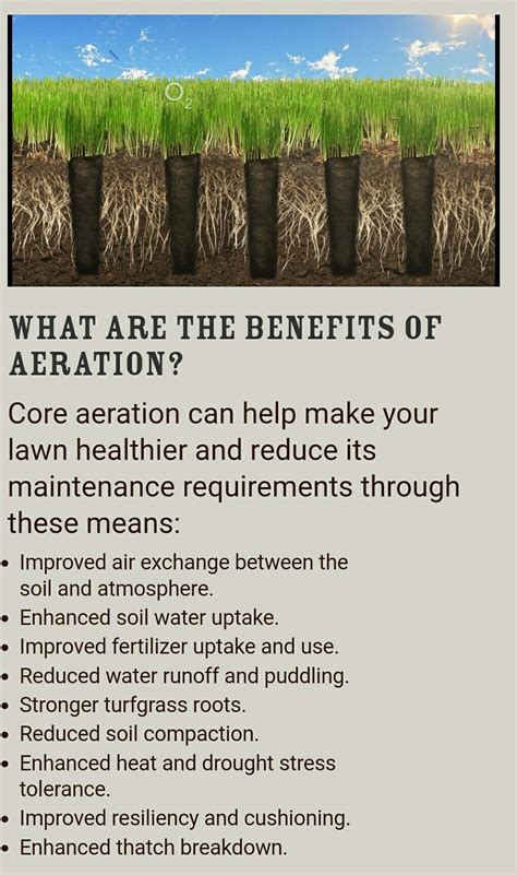 Benefits of Lawn Aeration