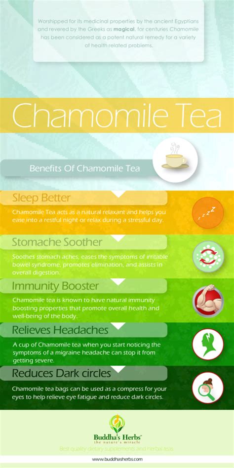 Learn About Health Benefits Of Chamomile Tea Infographic