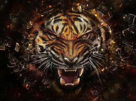 Tiger - Desktop Wallpapers, Phone Wallpaper, PFP, Gifs, and More!