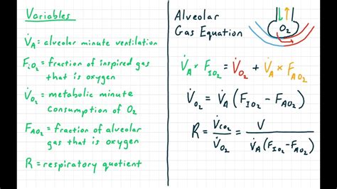 Alveolar ventilation equation dead space equation - jolotodo