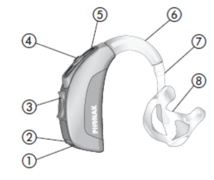 Labeling a Hearing Aid Diagram | Quizlet