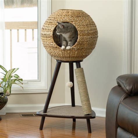 Designer Cat Beds for Most Capricious Felines