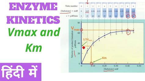 Vmax Definition Enzyme Kinetics - PELAJARAN