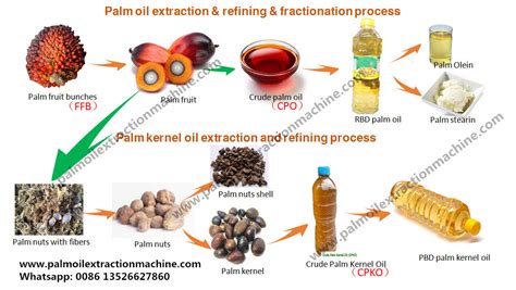 What machines were used in palm oil processing process?_FAQ