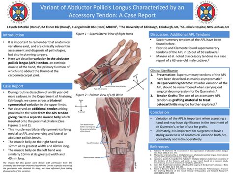 (PDF) Variant of Abductor Pollicis Longus Characterised by an Accessory ...