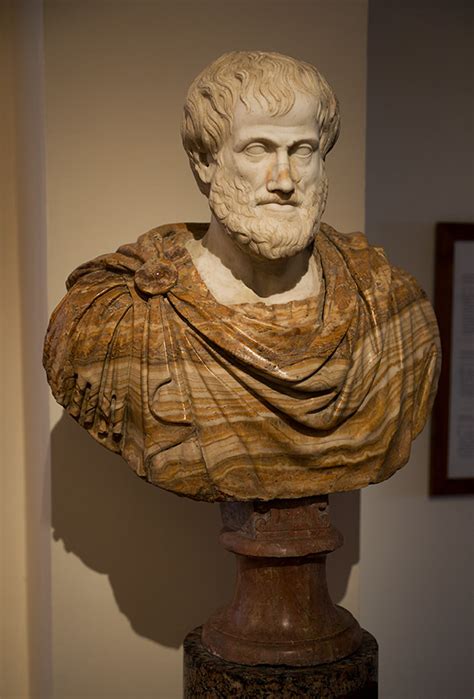 Aristotle Bust, Palazzo Altemps (Illustration) - World History Encyclopedia