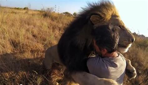 WATCH: Incredible video shows ‘lion whisperer’ Kevin Richardson hugging ...