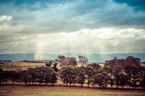 Australian Agricultural Countryside Landscape after Rain. Stock Image ...