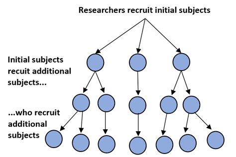 Snowball Sampling: Definition + Examples - Statology