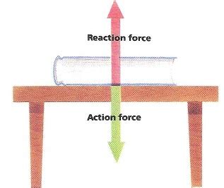 Action & Reaction Forces | Definition & Examples - Lesson | Study.com