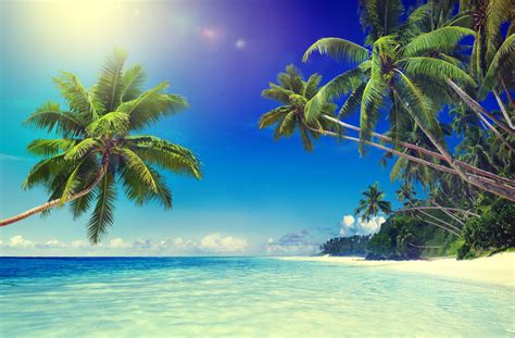 Beach Virtual Background Zoom