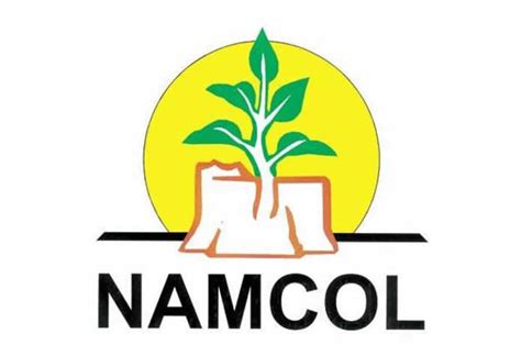 Namibian College of Open Learning (NAMCOL) – COMOSAConnect – Share your ...