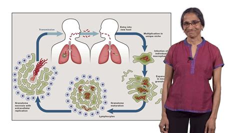 Pathogenic Bacteria: What Distinguishes a Pathogen from a Non-Pathogen ...