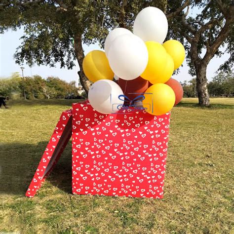 Send Surprise balloon box Online | Free Delivery | Gift Jaipur